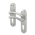 Nola Satin Nickel Lever on Backplate Door Handle - Euro