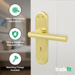 Olbia Satin Brass Lever on Backplate Door Handle Kit - 80mm Euro Sashlock and Cylinder & Turn - Keyed to Differ - tradefit - 4