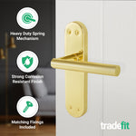 Olbia Brass Plated Lever on Backplate Door Handle Pack - 76mm Latch - tradefit - 4