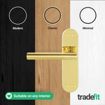 Olbia Brass Plated Lever on Backplate Door Handle Pack - 76mm Latch - tradefit - 7