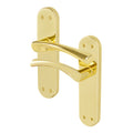 Nola Brass Plated Lever on Backplate Door Handles - Latch