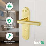 Olbia Brass Plated Lever on Backplate Door Handle Kit - 80mm Euro Sashlock and Cylinder & Turn - Master Keyed - tradefit - 4