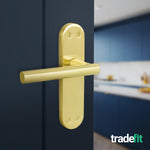 Olbia Satin Brass Lever on Backplate Door Handles - Latch - tradefit - 4