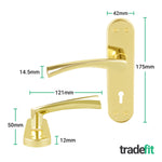 Nola Brass Plated Lever on Backplate Door Handle Pack – 64mm Sashlock - tradefit - 2
