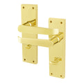Straight Pattern Polished Brass Door Handles - Bathroom