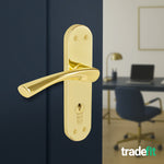 Nola Brass Plated Lever on Backplate Door Handle Kit - 80mm Euro Sashlock and Double Cylinder - Master Keyed - tradefit - 6