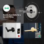 Tapera Satin Brass Lever on Rose Door Handle Kit - Medium Duty FD30/60 - 80mm Euro Sashlock and Double Cylinder - Keyed Alike - tradefit - 3