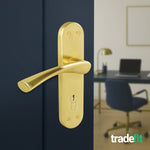 Nola Satin Brass Lever on Backplate Door Handle Kit - 80mm Euro Sashlock and Cylinder & Turn - Master Keyed - tradefit - 6