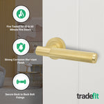 Dumont Satin Brass Lever on Rose Door Handles - Heavy Duty - FD30/60 Rated - tradefit - 2