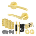 Bosa Satin Brass Lever on Rose Door Handle Kit - Standard Duty FD30/60 - 80mm Euro Sashlock and Double Cylinder - Keyed to Differ