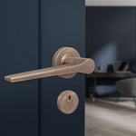 Tapera Antique Brass Lever on Rose Door Handle Kit - Medium Duty FD30/60 - 80mm Euro Sashlock and Thumbturn Cylinder - Keyed to Differ - tradefit - 6