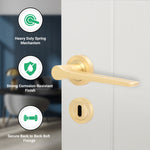 Tapera Satin Brass Lever on Rose Door Handle Kit - Sashlock - tradefit - 2
