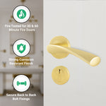 Nola Satin Brass Lever on Rose Door Handle Kit - Standard Duty FD30/60 - 80mm Euro Sashlock and Double Cylinder - Keyed Alike - tradefit - 5