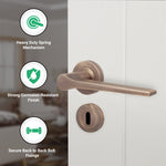 Tapera Antique Brass Lever on Rose Door Handle Kit - Sashlock - tradefit - 2