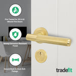 Dumont Satin Brass Lever on Rose Door Handle Kit - Medium Duty FD30/60 - 80mm Euro Sashlock and Double Cylinder - Keyed to Differ - tradefit - 2