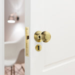 Beehive Polished Brass Mortice Door Knob Kit - 80mm Sashlock - tradefit - 5