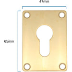 Repair Escutcheon - Euro - 65x47x1.2mm - PVD Brass - tradefit - 2