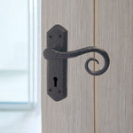 Black Iron Lever Door Handles on Backplate Curly Tail Pattern Lock Door Handles - Black - tradefit - 5