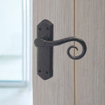 Black Iron Lever Door Handles on Backplate Curly Tail Pattern Latch Door Handles - Black - tradefit - 5