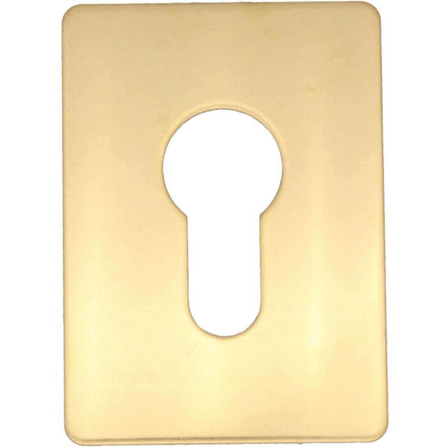 Repair Escutcheon Key Hole Cover Plate Euro Profile Self Adhesive Fix